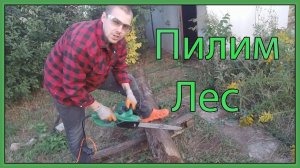 ПИЛИМ ЛЕС, ЗАЧИСТКА КУСТАРНИКА, ТРУХЛЯВЫЕ БРЕВНА