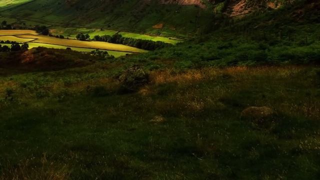 Устроилась в дом миллионера она подумать не могла что скоро узнает тайну а жизнь круто изменится смотреть онлайн