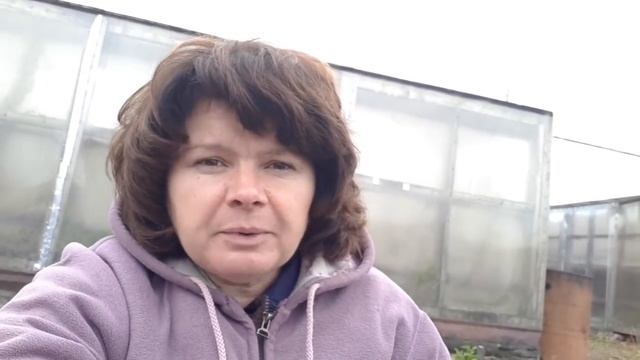 Подготовка почвы под озимый чеснок. Гербициды. смотреть онлайн