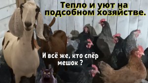 ШО ЦЭ ТАКЭ САНКЦИИ????