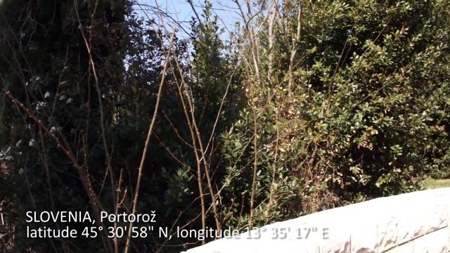 Travel Log Portoroz Slovenia