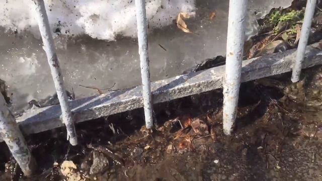 Весна пришла. Течёт ручей. смотреть онлайн