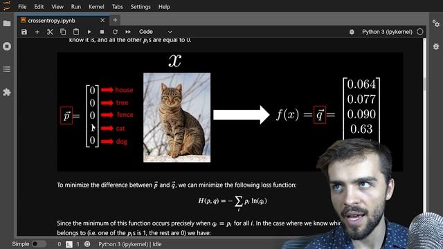 Cross-Entropy Loss Function Tutorial смотреть онлайн