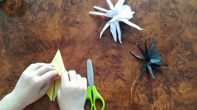 тарантула. тарантула қағаздан