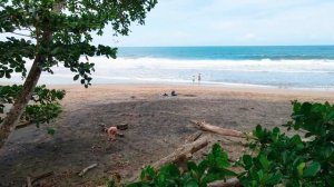 Коста Рика, Рай на Земле, Восточное побережье, Пляжи и парки, Путешествие своим ходом