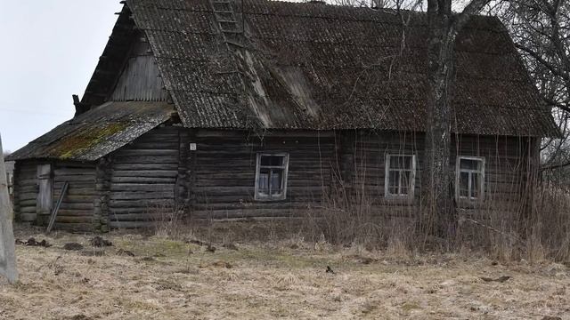 Душераздирающий крик раздавался из старого дома. Только маленькая девочка не побоялась шагнуть...