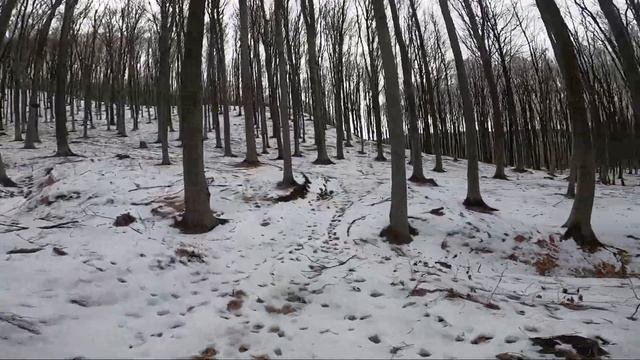 После ремонта KTM Зимний эндуро смотреть онлайн