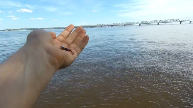 Обзор Rubicon X-RAY|| ОН ВАМ НЕ НУЖЕН || Спиннинг с OZON