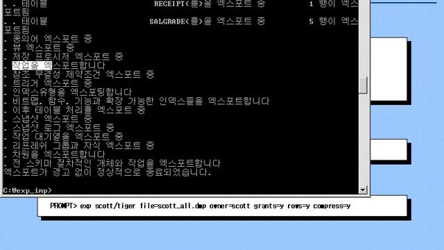 [오라클 기초 강좌] 28 - EXPORT & IMPORT - Table/User/Full Export, Dump, Backup & Recovery смотреть онлайн