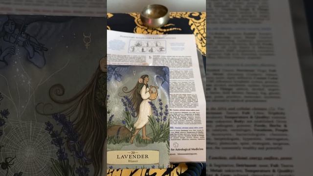 ✨? Oracle Insights with Uncle T ?✨HERBAL ASTROLOGY смотреть онлайн