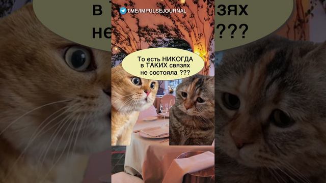 Первое свидание #мыкотики #разговор #анекдот #шутки #коты #юмор #смешное #прикольно #мемы #cat смотреть онлайн