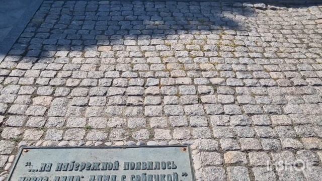 Ялта сегодня. смотреть онлайн