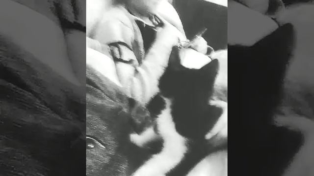 Немного из жизни Арчи смотреть онлайн