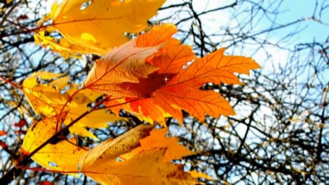 Bianca Abend in den Bergen смотреть онлайн