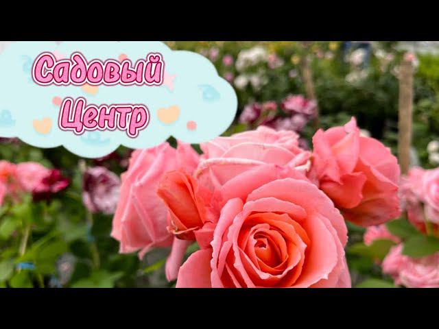 Садовый центр в мае / Ассортимент и цены / Поехали мы за балконными ящиками, но так и не купили их смотреть онлайн