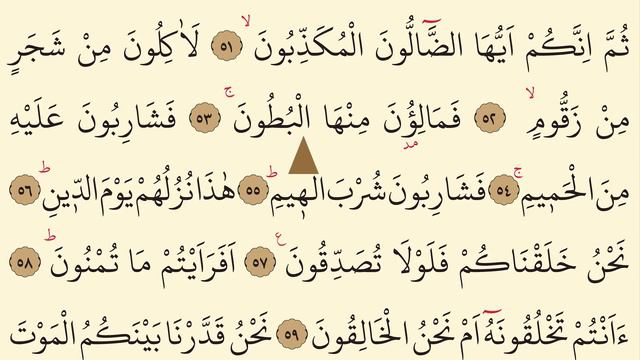 Vakıa Suresi Hızlı Okuma | Ok Takipli | Bilgisayar Hattı | İsmail Damar | 4K