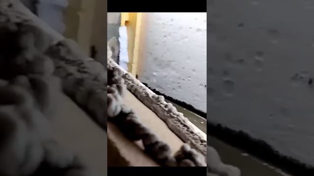 #Тест клея #TYTAN - Какой лучше? #ТИТАН