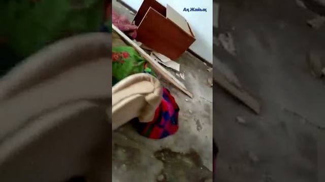 Дом без окон, без дверей, полна горница бомжей смотреть онлайн