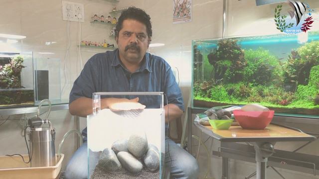 How to Save Fish From Dying in New Aquarium | How to Cycle Aquarium | Why Fish Dying in aquarium смотреть онлайн