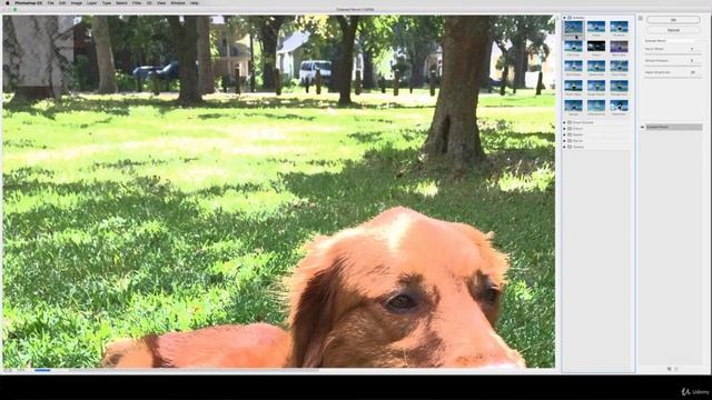 Learn photoshop 2 смотреть онлайн