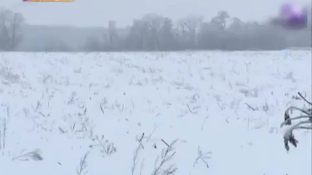 Чупакабра напала на Человека. Бабушка спасла Внука от Легендарного Зверя смотреть онлайн