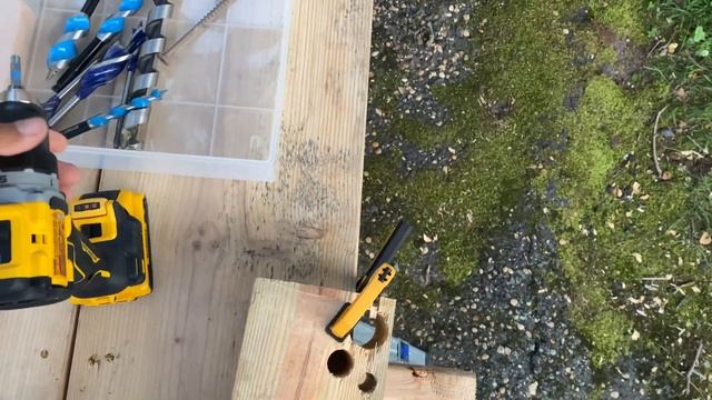 DCD 800 Dewalt A Menor E Melhor Parafusadeira Pra Uso Geral