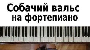 СОБАЧИЙ ВАЛЬС НА ПИАНИНО обучение Как играть на фортепиано УРОК для начинающих легко туториал разбо