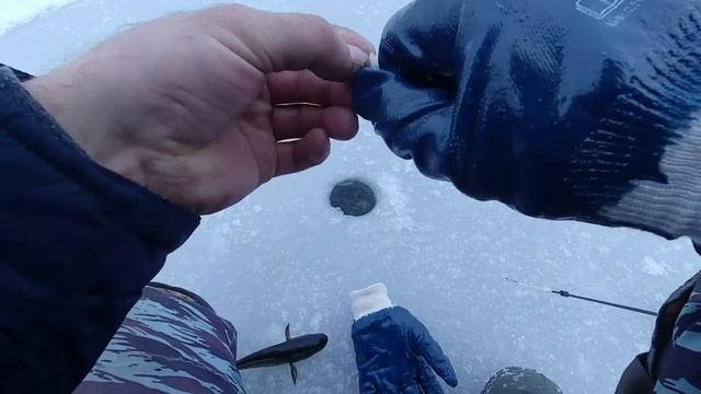 ПЕРВЫЙ ЛЁД/Насадил сало и понеслось/Рыба ГОЛОВЁШКА. смотреть онлайн