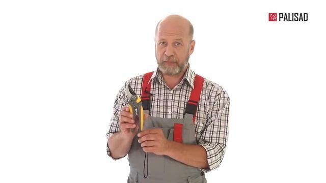 Обзор Секатор PALISAD 60510 смотреть онлайн