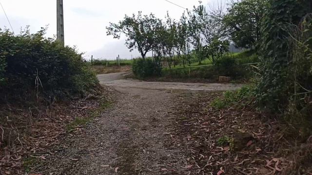 МЫ ПРОХОДИМ ПУТЬ СВЯТОГО ИАКОВА? смотреть онлайн