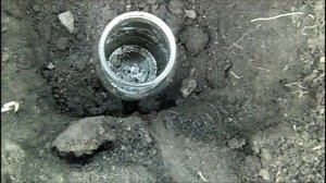 Ловушка для капустянки (медведки). Способ 1