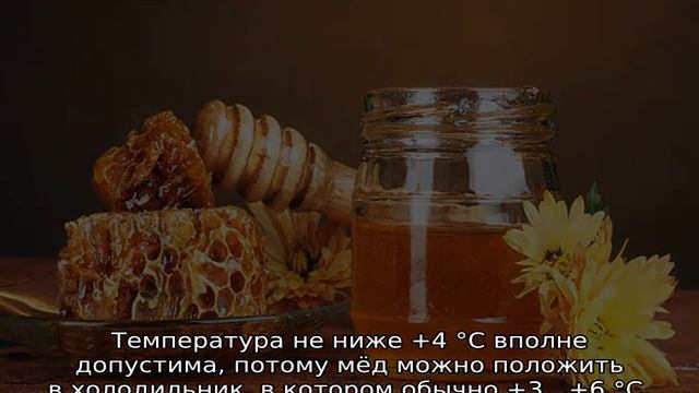Срок годности меда смотреть онлайн