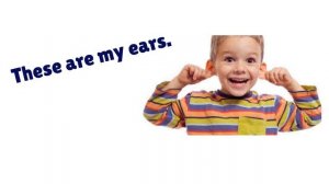 My face parts for kids, parts of the face, learn face parts, face song