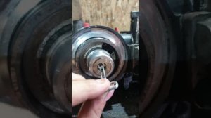 топливный насос cummins