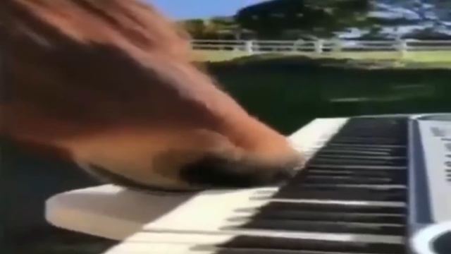 Top 5 Piano смотреть онлайн