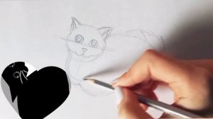 Maxwell Cat Drawing | How To Draw a Cat