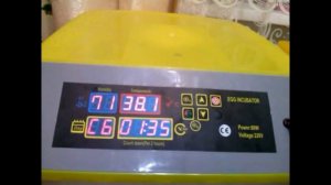 Как инкубирую куриные яйца. Китайский инкубатор ИА-48