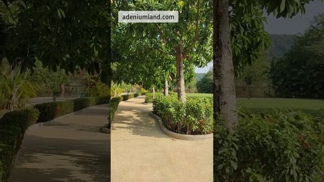 Зелёная прогулка по аквапарку в Паттайе смотреть онлайн