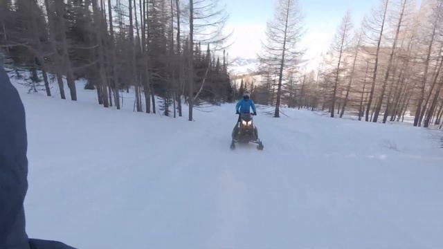BRP Ski-doo Summit 154 катка в Риддере смотреть онлайн