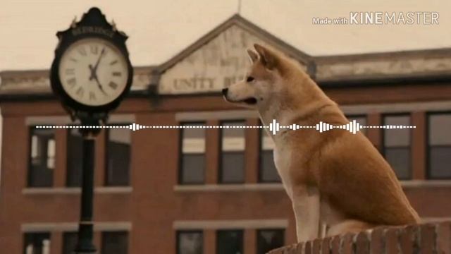 Музыка из фильма Хатико(Hachico):самый верный друг смотреть онлайн