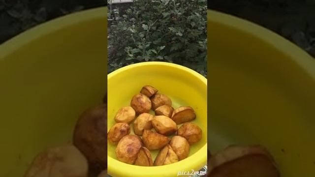 Казан кебаб. Свиные рёбра с картошкой в казане на костре смотреть онлайн