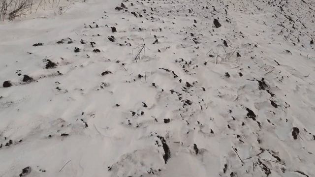 СНЕГОЗАДЕРЖАНИЕ, КУДА ДЕЛСЯ СНЕГ