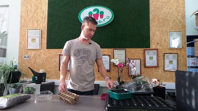 рассада для дачи, когда и как сажать смотреть онлайн