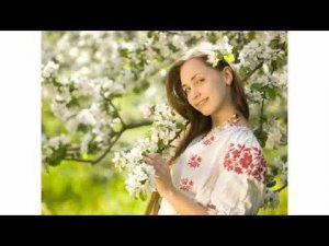 Белая черёмуха -- Вадим Мулерман