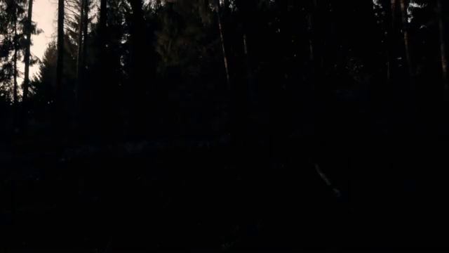 Дикая природа Германии Шпессарт и Штайгервальд смотреть онлайн