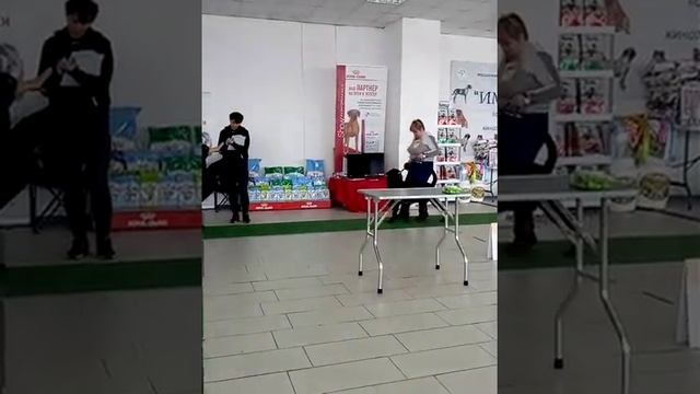 Волгоград выставка собак февраль 2020. Ринг ротвейлеров. Эксперт Тамирова.