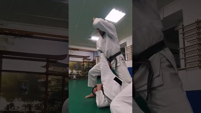 Школа боевых искусств "Seifukan Dojo". АЙКИДО Ёшинкан, взрослая тренировка. Сургут. sensei Zakir. смотреть онлайн