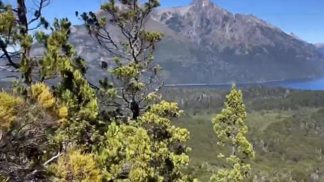 Argentina. San Carlos De Bariloche. Sendero Cerro Llao Llao.