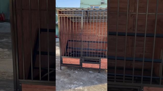 Вольер для Собак смотреть онлайн