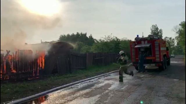 Тушили пожар и спасали баранов биробиджанские пожарные смотреть онлайн